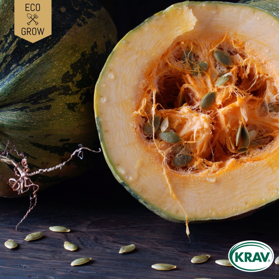 Nakenfröpumpa - Gleisdorfer