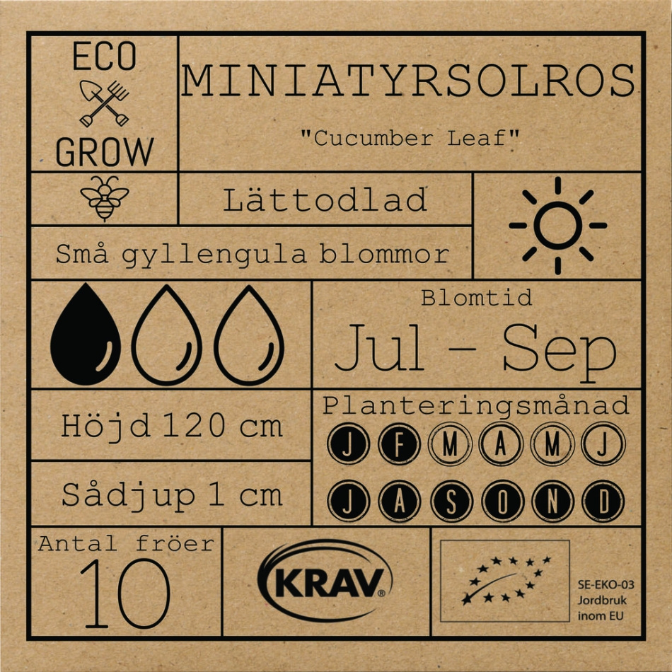 Miniatyrsolros - Cucumber Leaf Fröer Online - Blomma