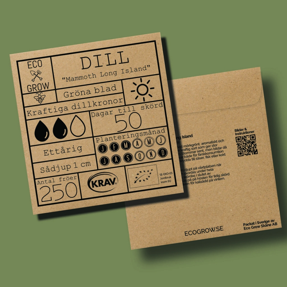 Dill - Mammoth Long Island Ekologiska Fröer Online