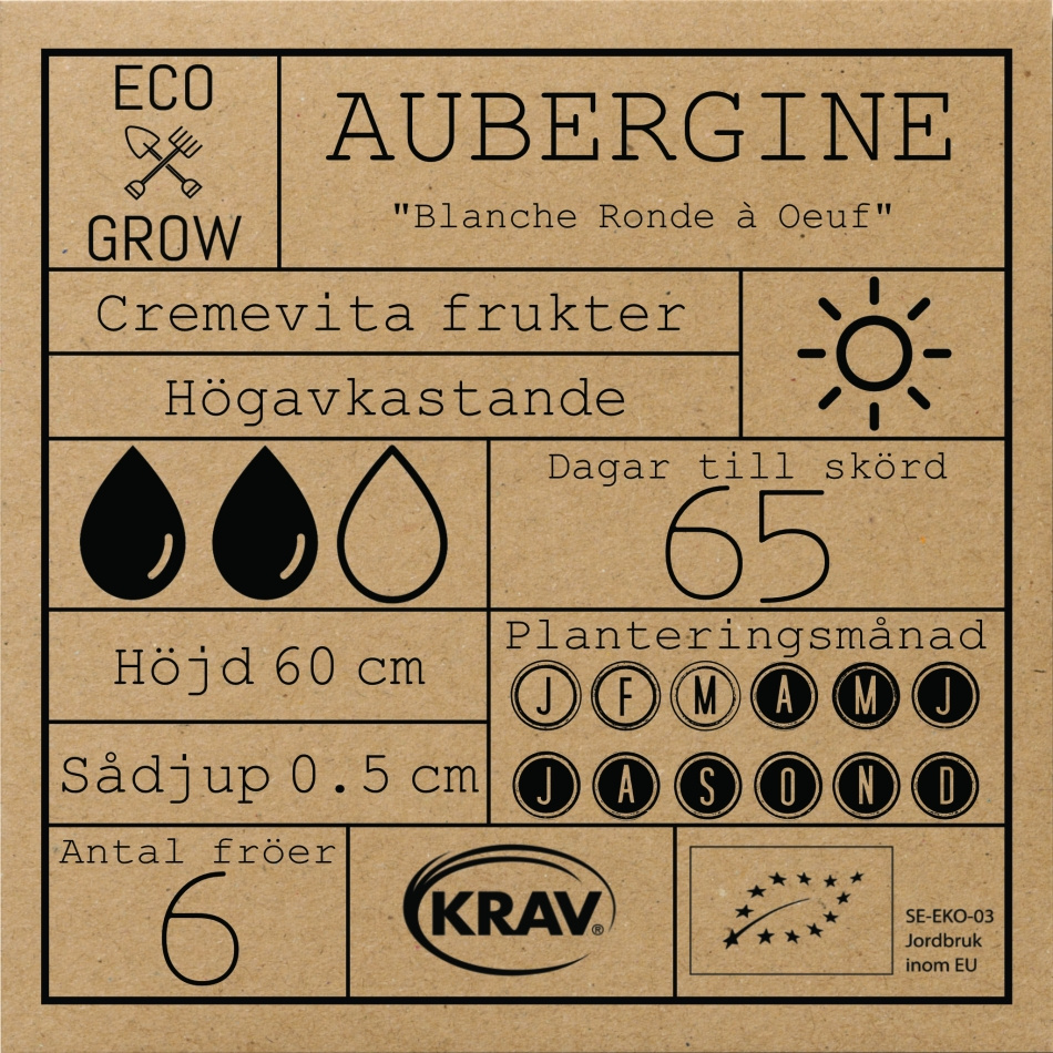 Aubergine - Blanche Ronde à Oeuf Fröer Online - Övrigt
