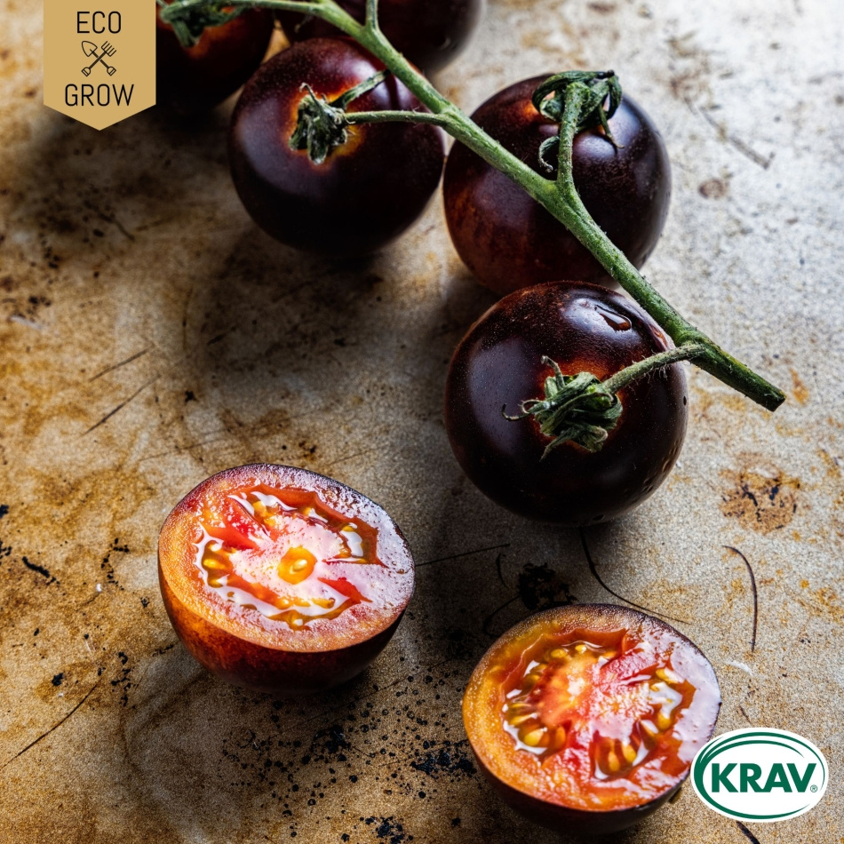 Salladstomat - Indigo Rose