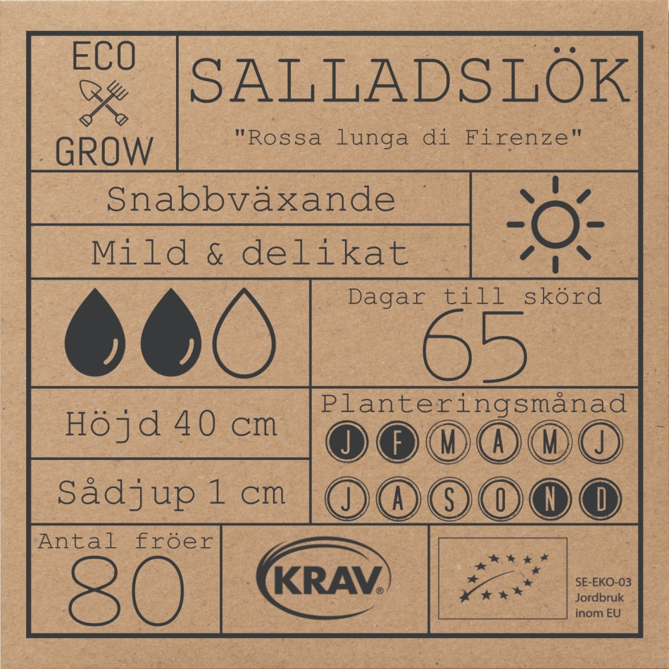 Salladslök - Rossa lunga di Firenze Fröer Online - Lökväxt