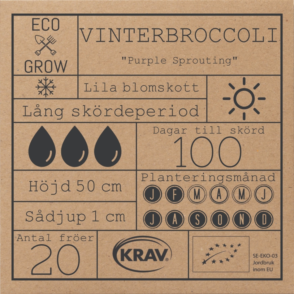 Vinterbroccoli - Purple Sprouting Fröer Online - Kålväxt