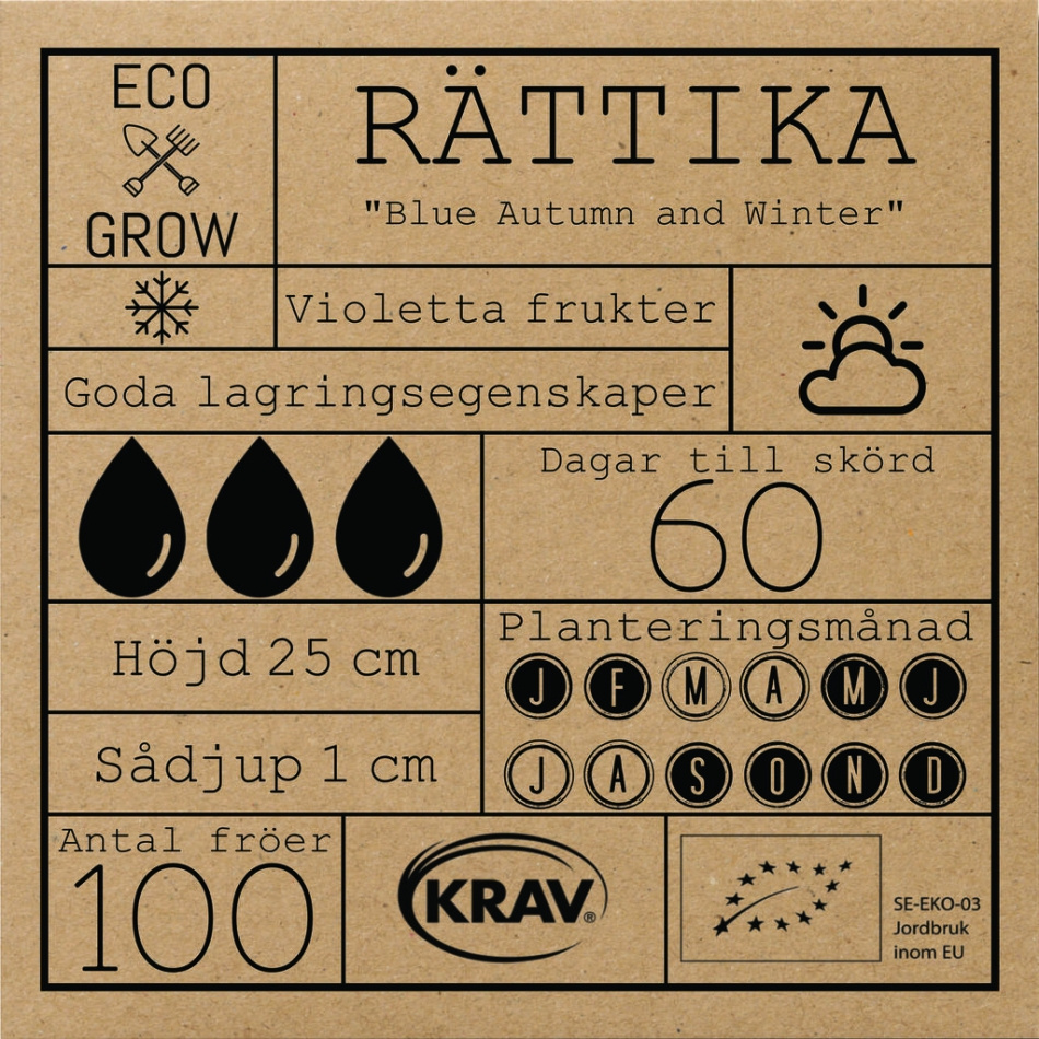Rättika - Blue Autumn and Winter Fröer Online - Rotfrukt
