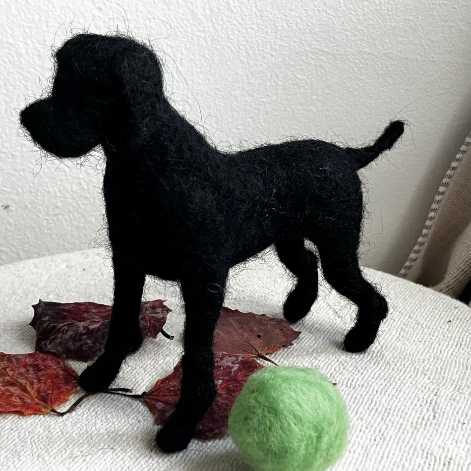 Minihund Labrador