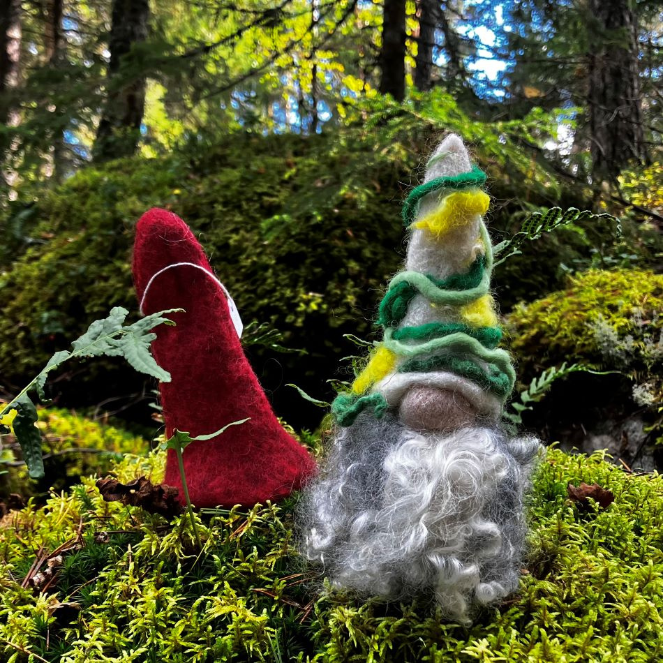 Hustomte sommar och vinter