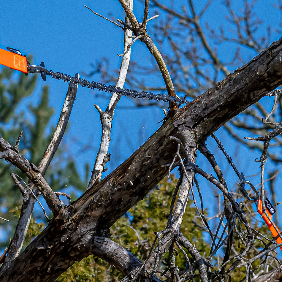 dubbeltandad sågkedja ligger redo för kapning av gren